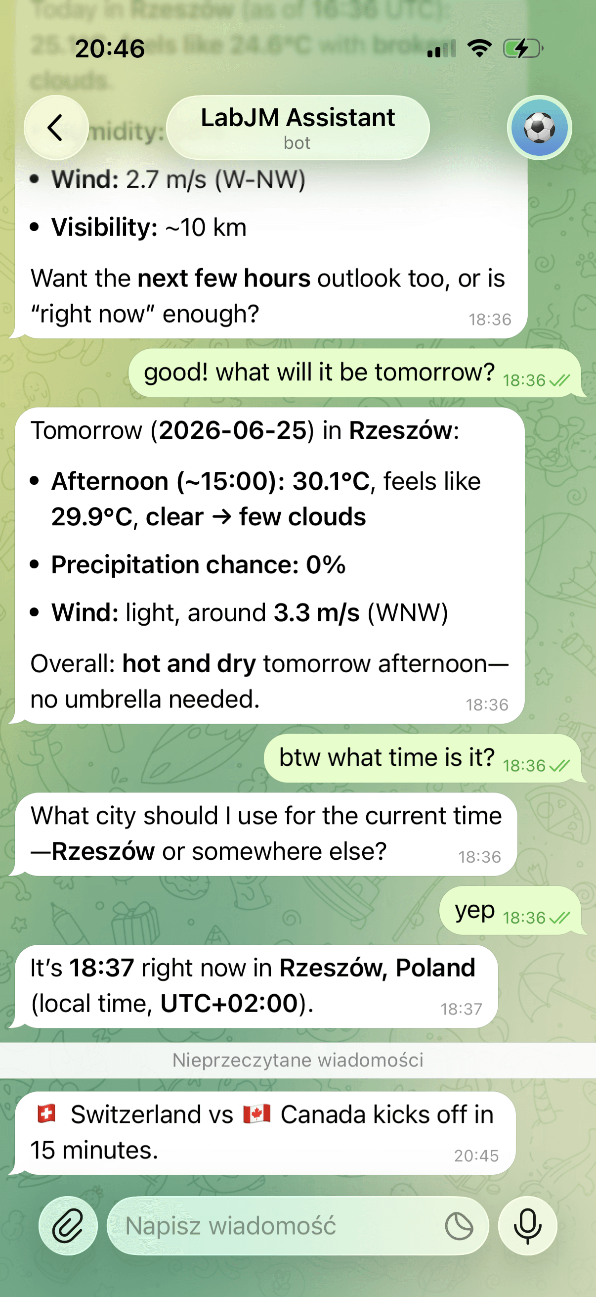 agent conversation preview
